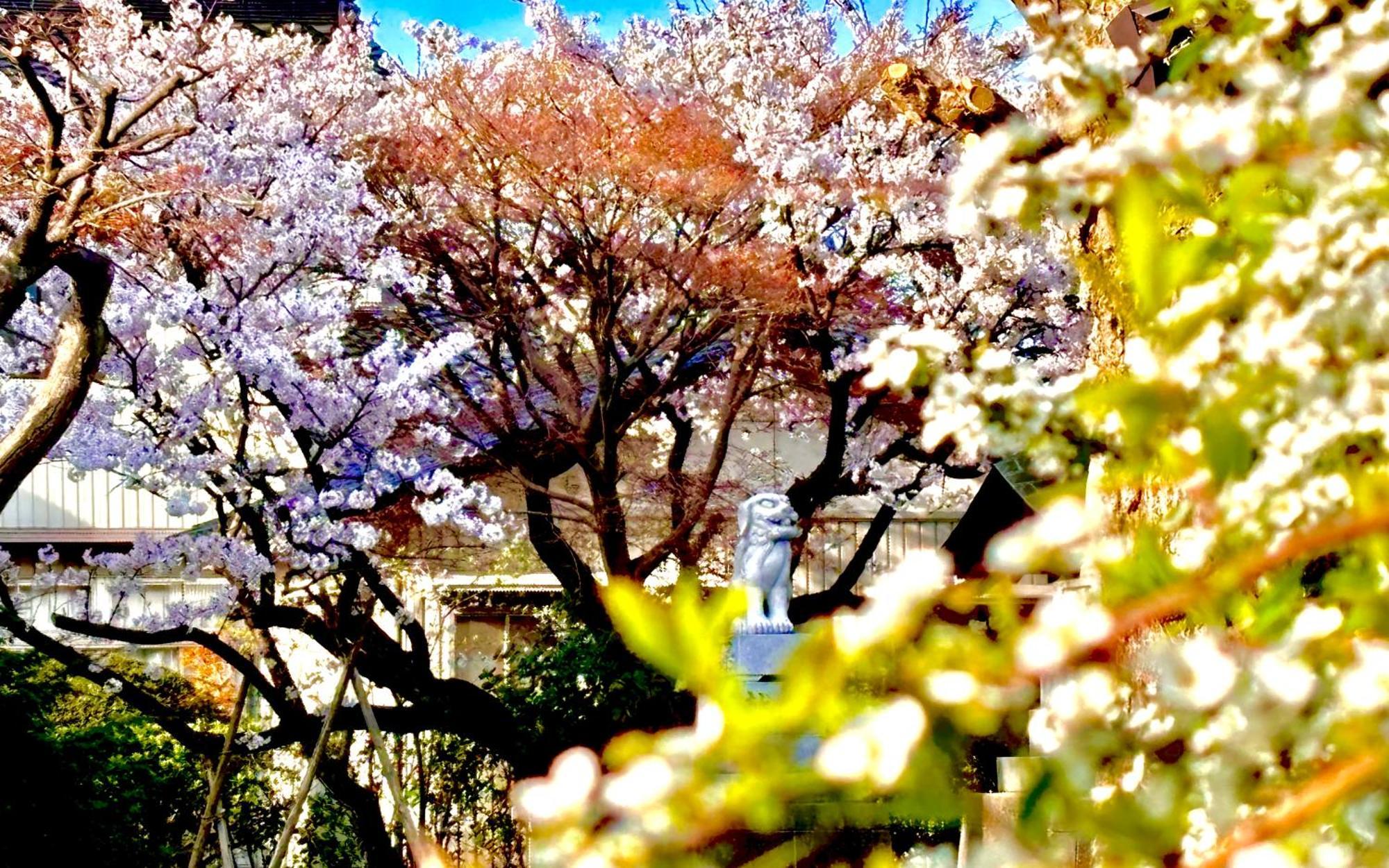 Copain Kurumi Kanazawa Buitenkant foto