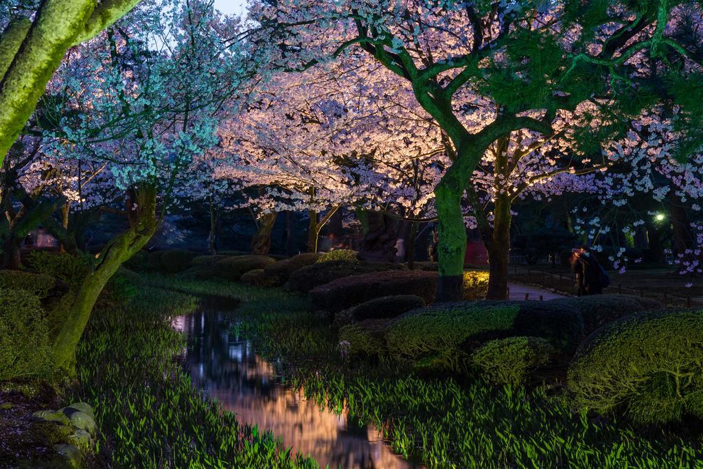 Copain Kurumi Kanazawa Buitenkant foto